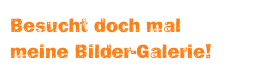 Besucht doch mal 
meine Bilder-Galerie!
